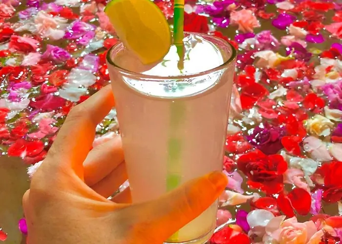 ホリデーパーク Arco Iris Boutique & Restaurant 3*